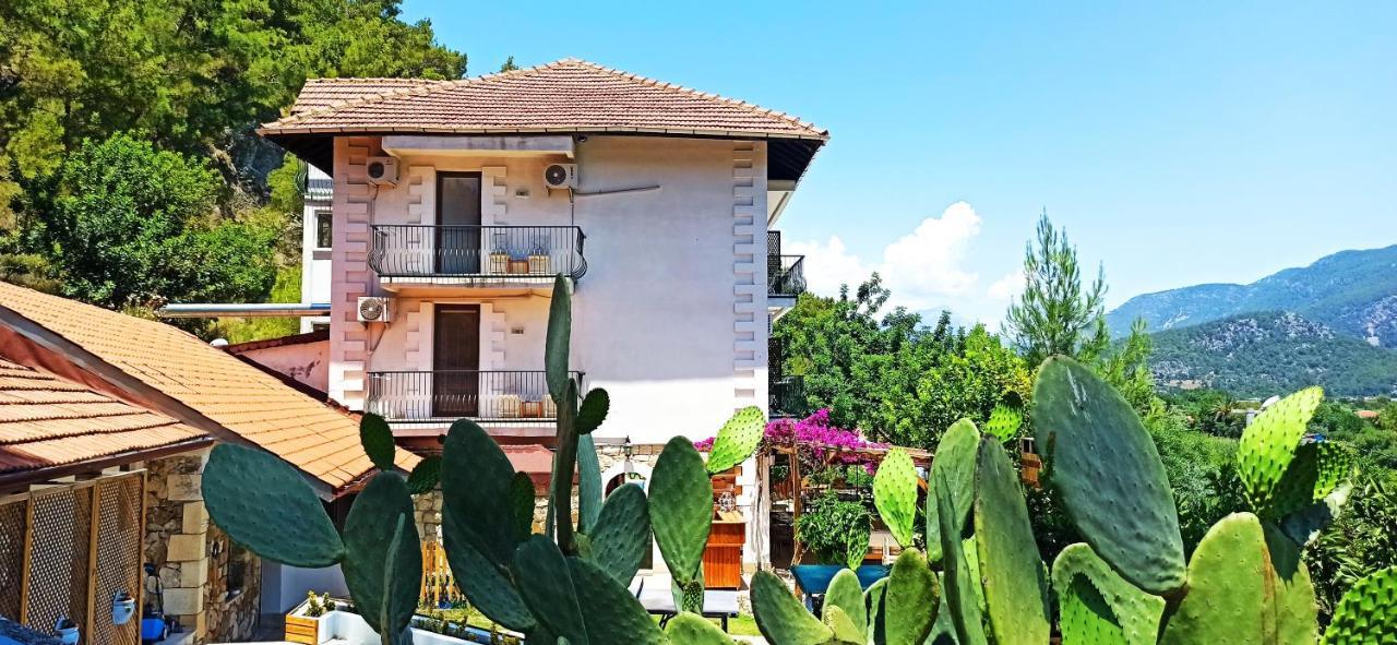 Swiss Eviniz Hotel (Adults Only) อาดราซาน ภายนอก รูปภาพ