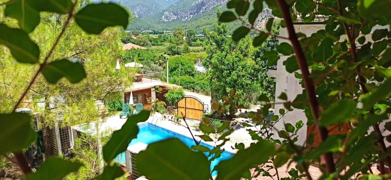Swiss Eviniz Hotel (Adults Only) อาดราซาน ภายนอก รูปภาพ