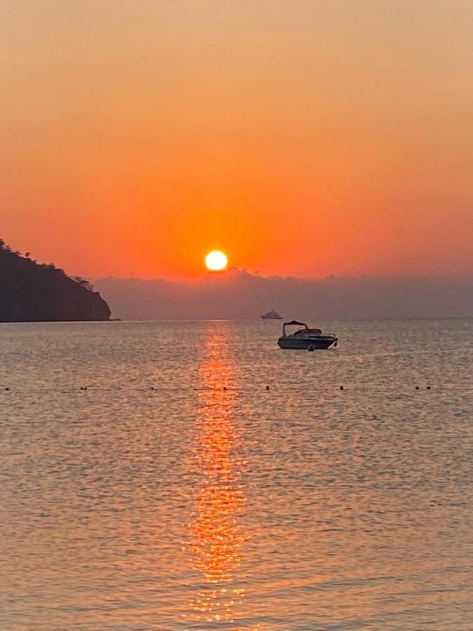 Swiss Eviniz Hotel (Adults Only) อาดราซาน ภายนอก รูปภาพ